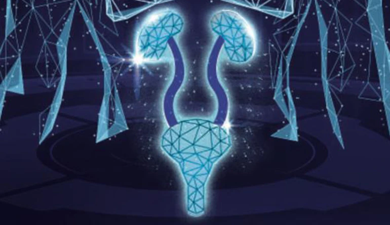 Ícone do tratamento de Nefrectomia Radical