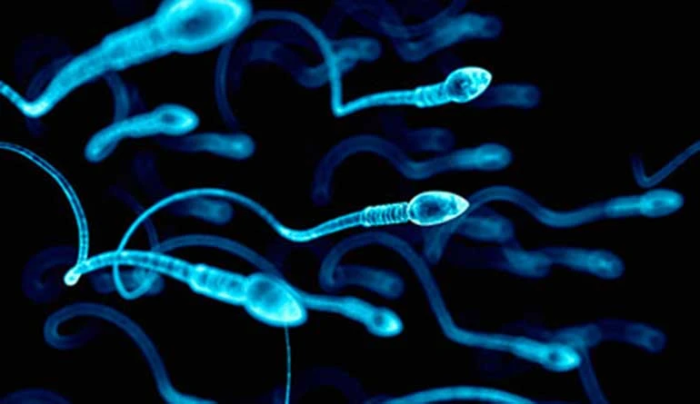 Imagem do tratamento Infertilidade masculina